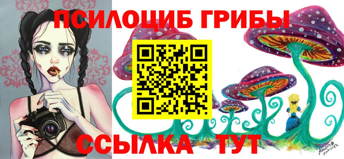 Псилоцибиновые грибы MAGIC MUSHROOMS Славгород